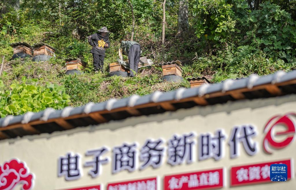 足球现金官方网站